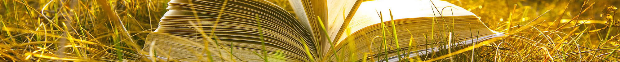 banner-inner-book